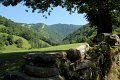 (248) Vers la souce de la Bidouze 2